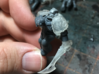 10x Void Drakes - Voidscale Right Pauldrons 3d printed 