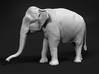 Indian Elephant 1:76 Standing Female 1 3d printed 
