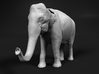 Indian Elephant 1:6 Standing Female 2 3d printed 