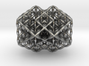 Siamese Twin Flower of Life Vector Equilibrium 3d printed 