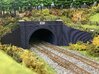 Based on Catesby Tunnel 1908. Main Portal. N Gauge 3d printed Whole Portal Tunnel in Landscape