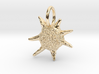 Baculogypsina Foraminifera Pendant -Marine Biology 3d printed 