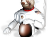 Astronaut Sloth 3d printed 