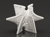 Voronoi Batwing Pendant 3d printed 