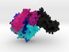 COVID-19 Spike Binding-Domain complexed with ACE2  3d printed 