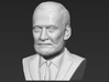 Buzz Aldrin bust 3d printed 