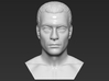 Jean Claude Van Damme Kickboxer bust 3d printed 