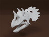 Regaliceratops Skull 3d printed 