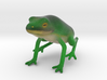 Frog 3d printed 