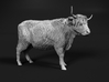 Highland Cattle 1:48 Standing Female 3d printed 