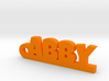ABBY_keychain_Lucky 3d printed 
