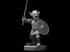 Goblin Male Fighter 3d printed 