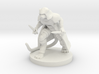 Tabaxi Female Rogue 3d printed 