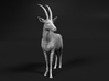 Sable Antelope 1:6 Standing Female 2 3d printed 