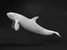 Killer Whale 1:220 Swimming Female 1 3d printed 
