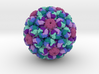 Merkel Cell Polyomavirus 3d printed 