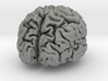 Brain replica half scale from MRI scan 3d printed 