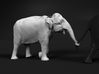 Indian Elephant 1:20 Female walking in a line 4 3d printed 