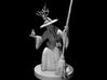 Barovian Witch 3d printed 