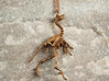Archaeopteryx Pendant - Paleontology Jewelry 3d printed Archaeopteryx Pendant in natural bronze
