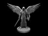 Fallen Aasimar Paladin with Sword & Shield 3d printed 