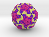 Infectious Enterovirus-E 3d printed 