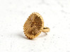 Fungia Coral Ring - Marine Biology Jewelry 3d printed Fungia Ring in 14K gold plated brass