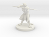 Leonin Female Spear Fighter 3d printed 