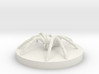 Giant Wolf Spider 3d printed 