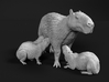 Capybara 1:6 Mother with three young 3d printed 