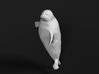 Ringed Seal 1:12 Head above the water 3d printed 