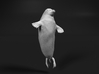 Ringed Seal 1:16 Head above the water 3d printed 