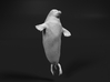 Ringed Seal 1:25 Head above the water 3d printed 