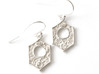 Plant Cell Earrings - Science Jewelry 3d printed Plant Cell Earrings in polished silver