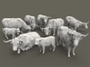 Highland Cattle Set 1:56 nine different pieces 3d printed 