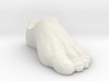 Motu Origins Human Left Foot 3d printed 