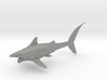 helicoprion 1/40 3d printed 