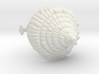 Sea Knee/ Elbow Pad "Sea Snail" 3d printed 