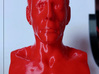 Face of Hardship 3d printed Red PLA+