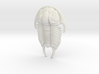Tricrepicephalus Trilobite Sculpture 3d printed 