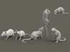 Brown Rat set 1:72 six different pieces 3d printed 