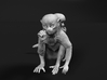 Squirrel Monkey 1:24 Female with baby 1 3d printed 