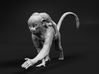 Squirrel Monkey 1:24 Female with baby 2 3d printed 
