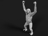 Chimpanzee 1:6 Male with raised arms 3d printed 