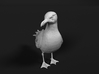 Glaucous Gull 1:6 Standing 3 3d printed 