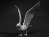 Herring Gull 1:48 Ready for take off 3d printed 