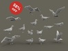 Herring Gull set 1:48 Fifteen different pieces 3d printed 