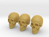 1:16 Scale Human Skull - Bundle 3d printed 