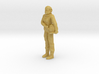 Planet of the Apes - Zira - 1.75 3d printed 