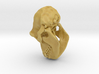 chimp skull 20mm fixed (repaired) decimate1 3d printed 